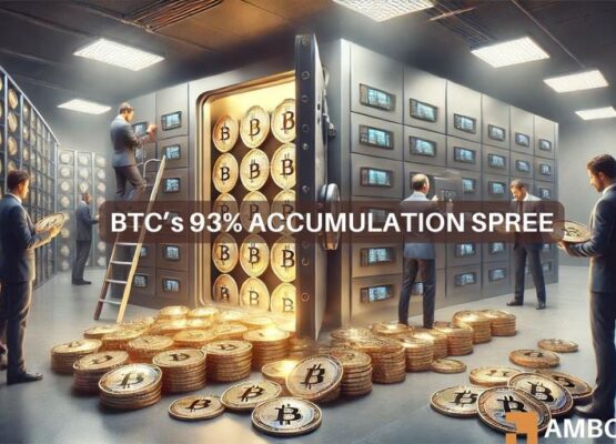 Bitcoin Amassment Domicile Rise 93% to Practically 4 Billion – Vehement Sign?