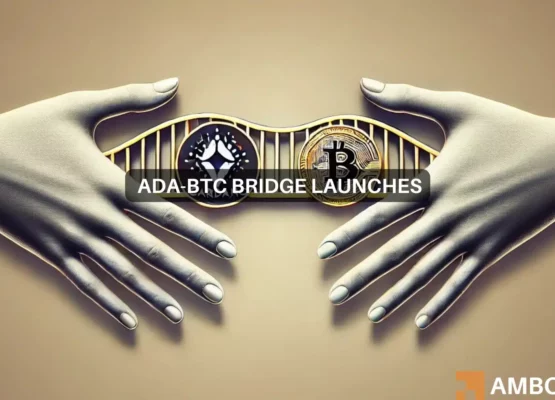 Cardano’s new Bitcoin bridge – Enough to push ADA above alt=